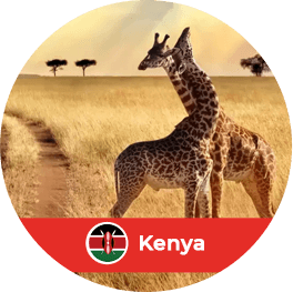 kenya.png